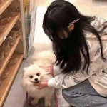 天朝神途游戏